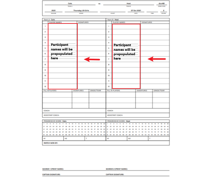 Basic Netball Score Sheet