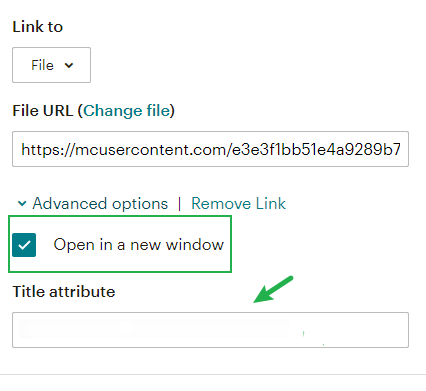 Mail_Chimp_-_Adding_attachments_File_added_advanced_options.png